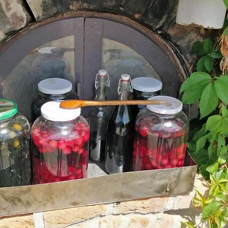 Novakporta Vendeghaz Daire Lakhegy Dış mekan fotoğraf